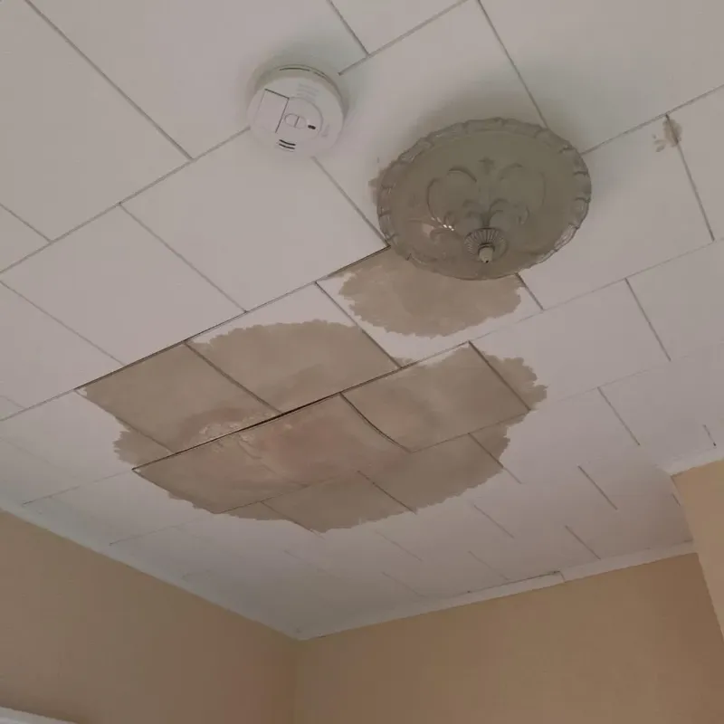 Ceiling Water Damage Repair in East Grand Forks, MN